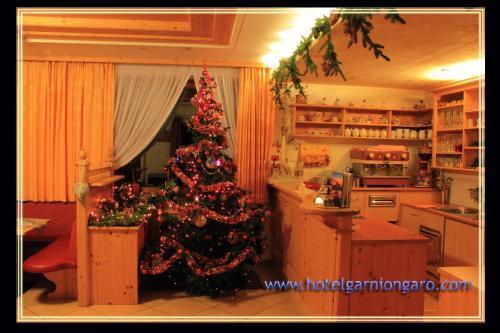 Garni Ongaro Hotel Selva di Cadore