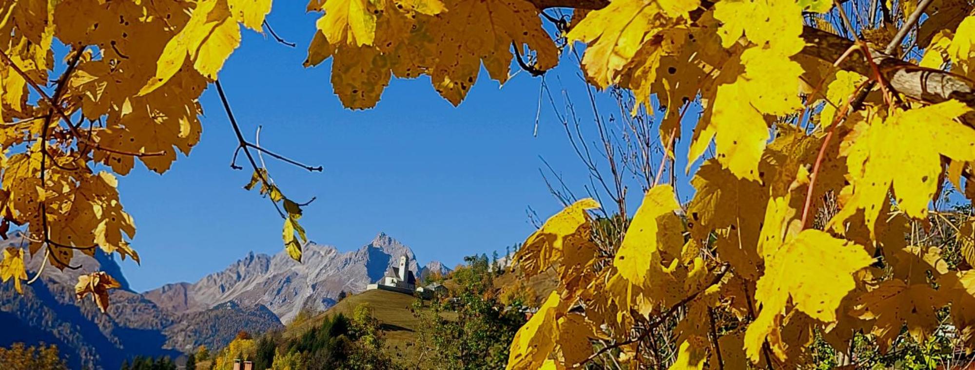 Garni Ongaro Selva di Cadore
